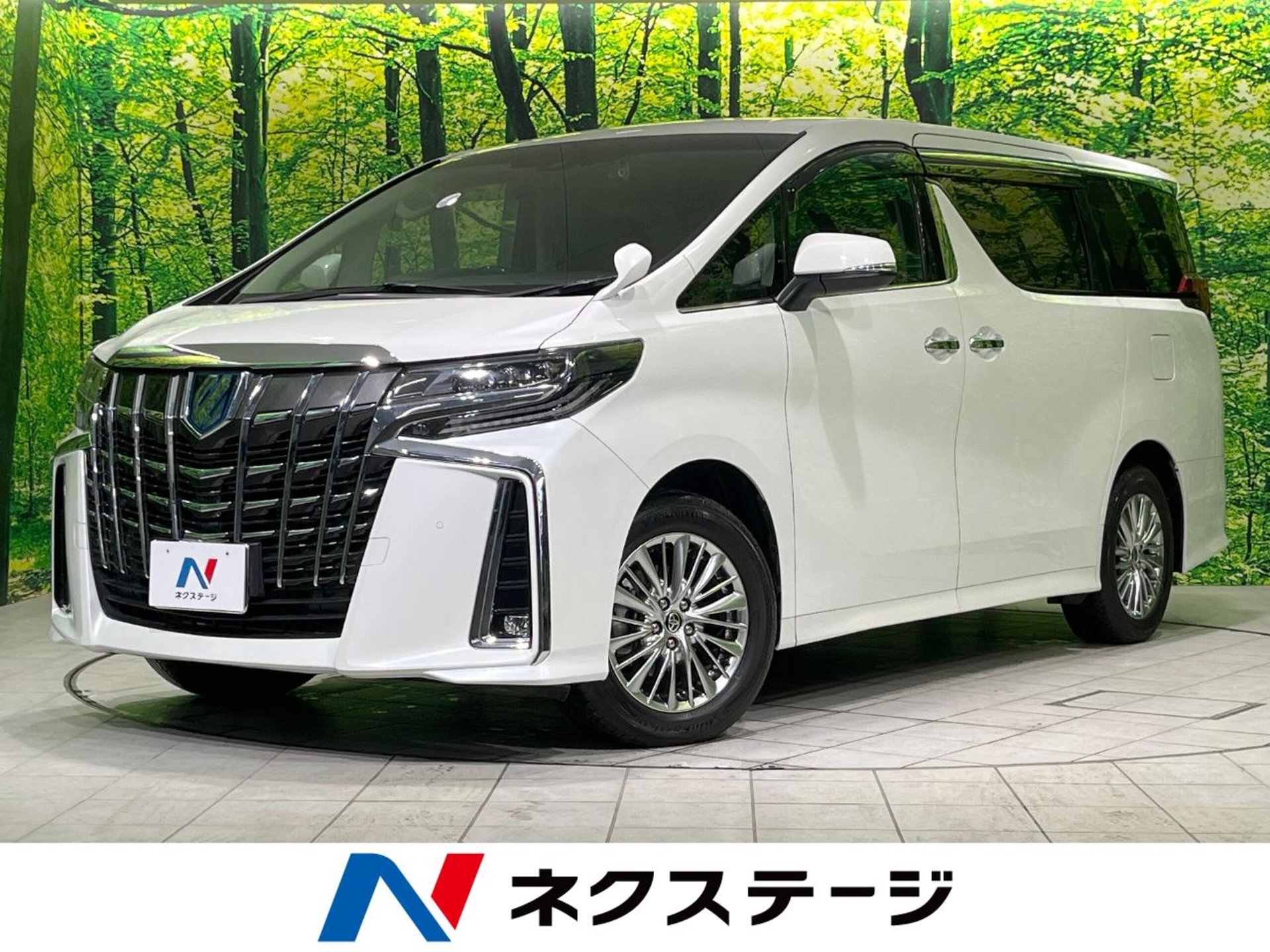 TOYOTA ALPHARD - View 1