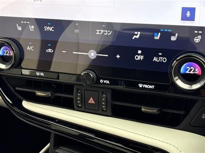 LEXUS NX - 6
