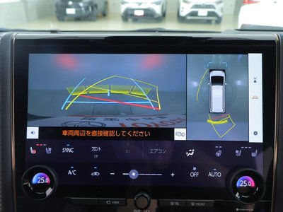 TOYOTA ALPHARD - 10