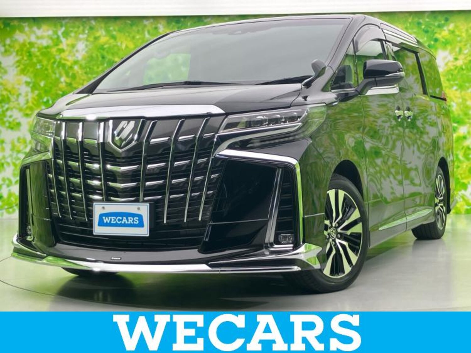 TOYOTA ALPHARD - View 1
