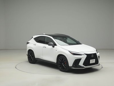 LEXUS NX - 8
