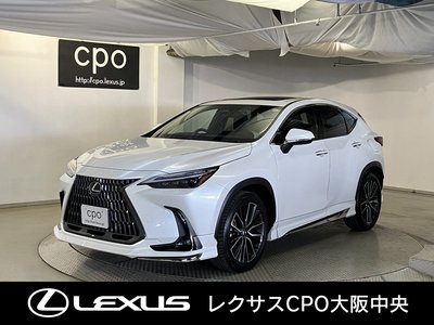LEXUS NX - 1