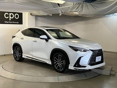 LEXUS NX - 10