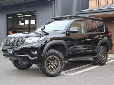 2023 Toyota LAND CRUISER PRADO — миниатюра 13