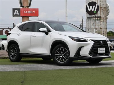LEXUS NX - 1