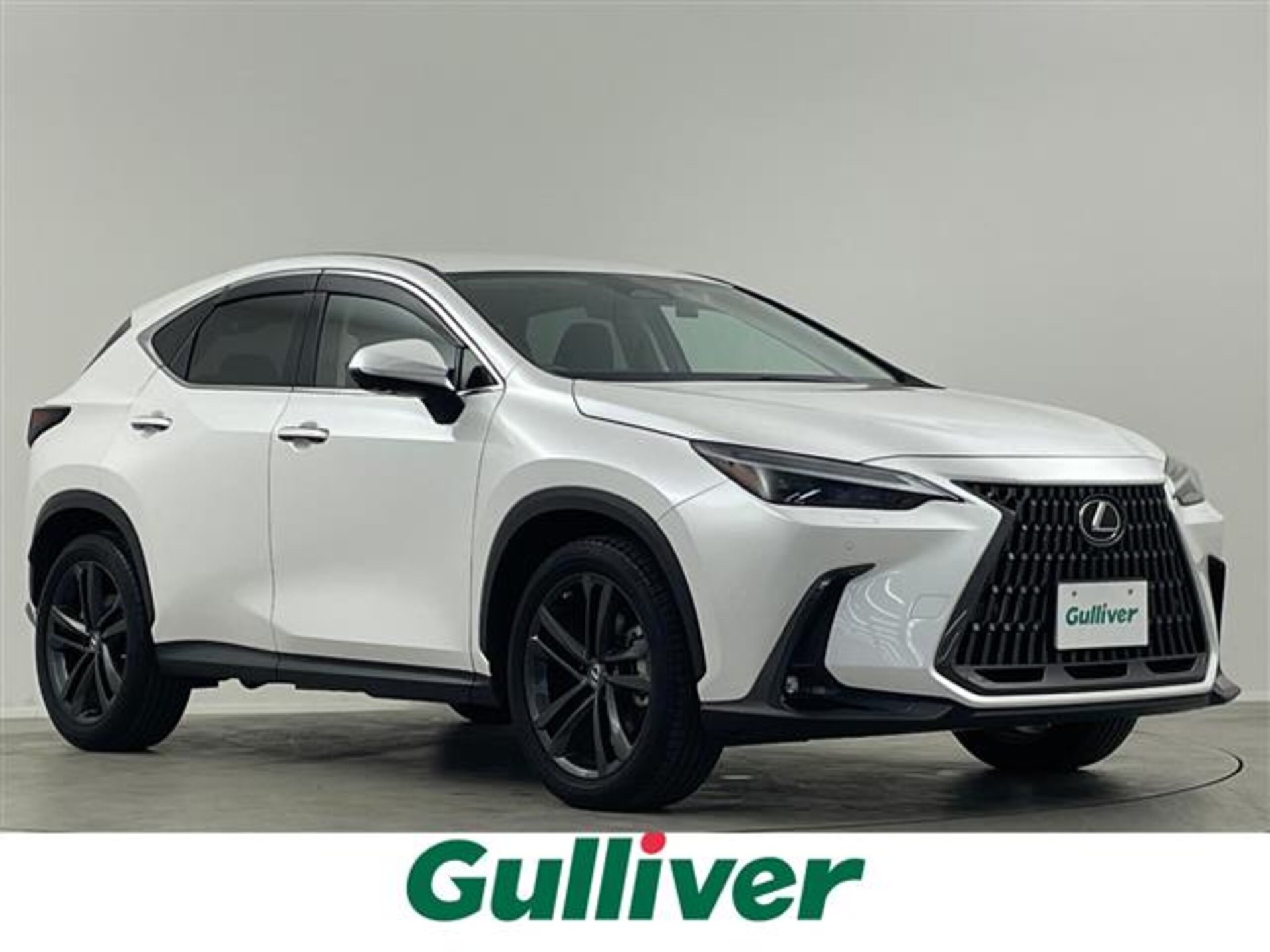 LEXUS NX - View 1