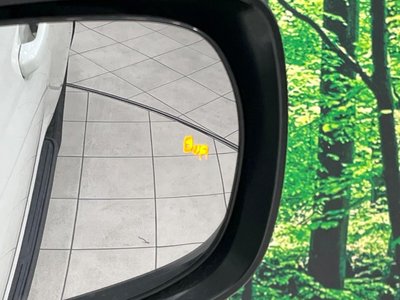 TOYOTA LAND CRUISER PRADO - 6