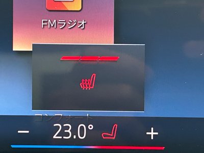 2024 BMW 5 SERIES 缩略图 53