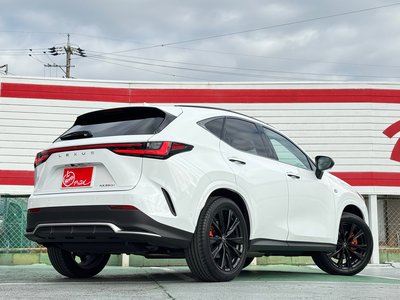 LEXUS NX - 3