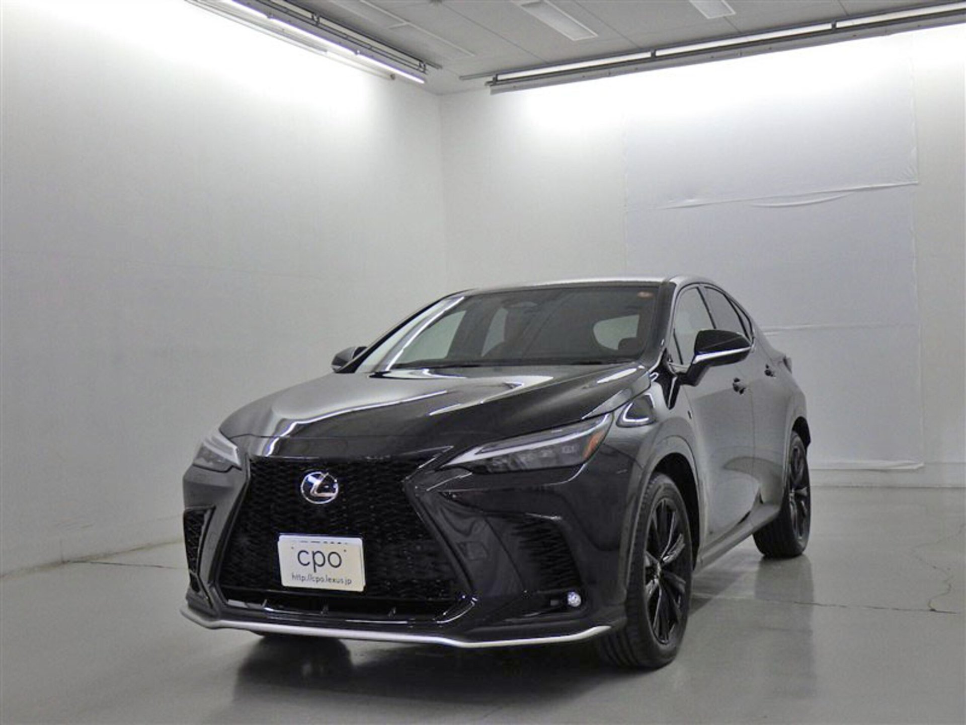 LEXUS NX - View 1