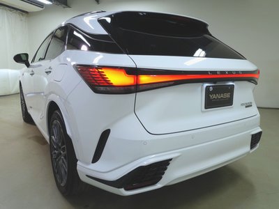 LEXUS RX - 6