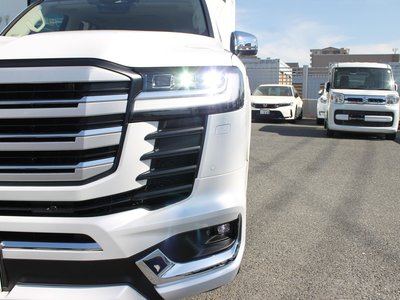 2025 Toyota LAND CRUISER 300 缩略图 13
