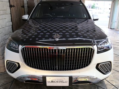 2020 Mercedes-BENZ GLS — миниатюра 11