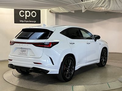 LEXUS NX - 10