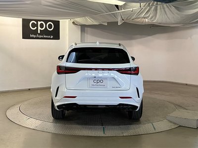 LEXUS NX - 9