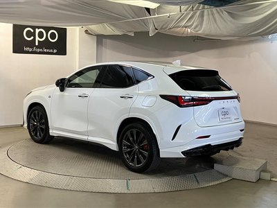 LEXUS NX - 4