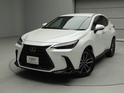 LEXUS NX - 1