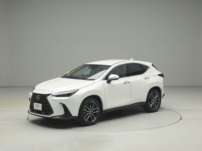 LEXUS NX - 6