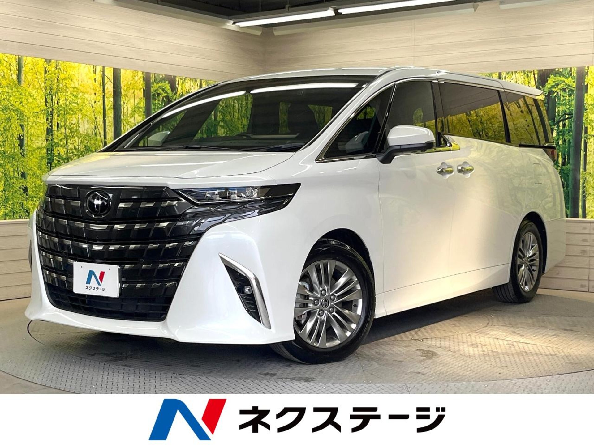 TOYOTA ALPHARD - View 1