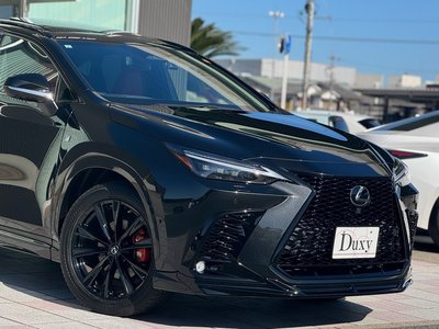 LEXUS NX - 10