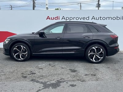 صورة مصغرة 19 لـ 2023 AUDI Q8 E-TRON
