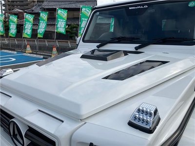 2015 Mercedes-BENZ G-CLASS 照片 7