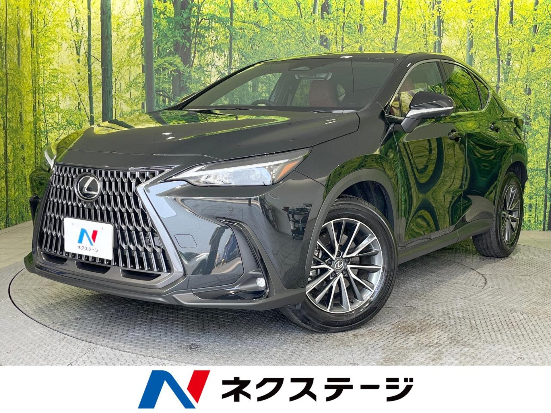 LEXUS NX - View 1