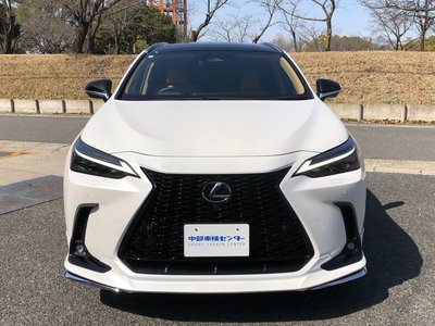 LEXUS NX - 8