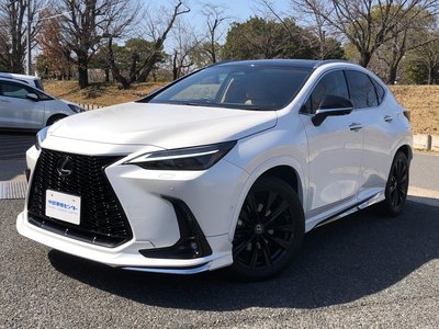 LEXUS NX - 6