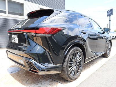 صورة 7 لـ 2023 Lexus RX