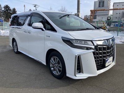 TOYOTA ALPHARD - 10
