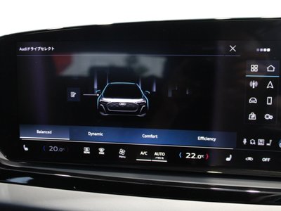 صورة مصغرة 46 لـ 2025 AUDI A5 AVANT