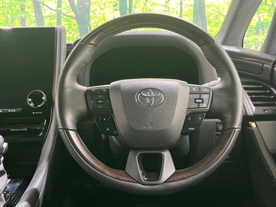 2025 Toyota ALPHARD — миниатюра 11