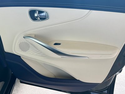 2021 Aston Martin DBX 照片 10