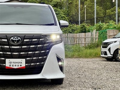 2025 TOYOTA ALPHARD 缩略图 39