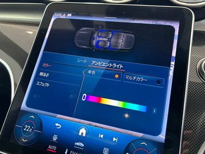 2023 Mercedes-BENZ C-CLASS AMG 缩略图 33