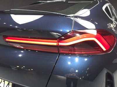 2023 BMW X6 照片 10
