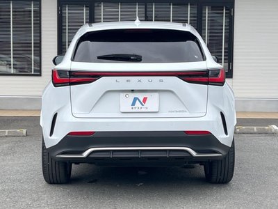 2023 Lexus NX — миниатюра 16
