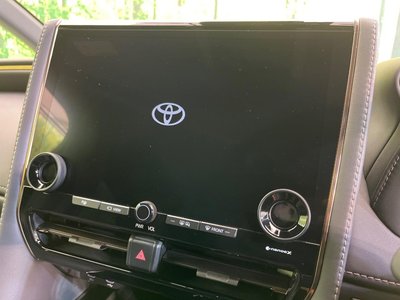 2024 Toyota ALPHARD 照片 4