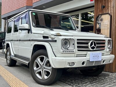MERCEDES-BENZ G-CLASS