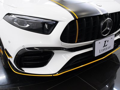 2025 Mercedes-BENZ A-CLASS AMG — миниатюра 44