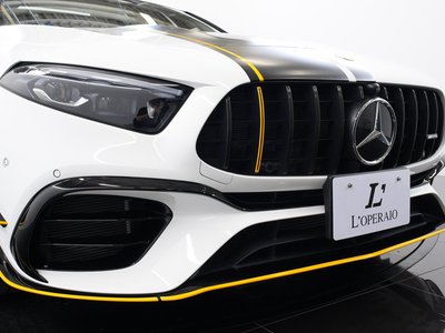 2025 Mercedes-BENZ A-CLASS AMG — миниатюра 45