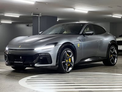 FERRARI PUROSANGUE - 1