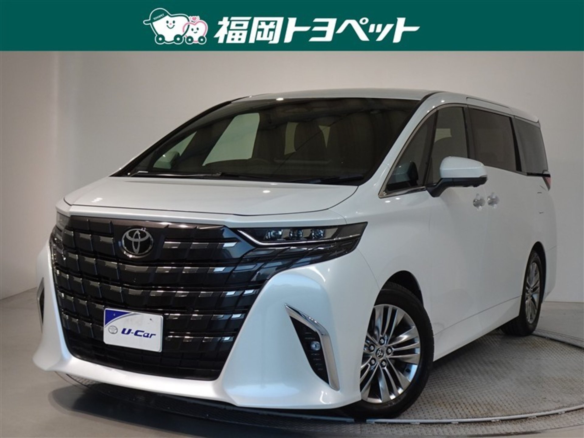 TOYOTA ALPHARD - View 1