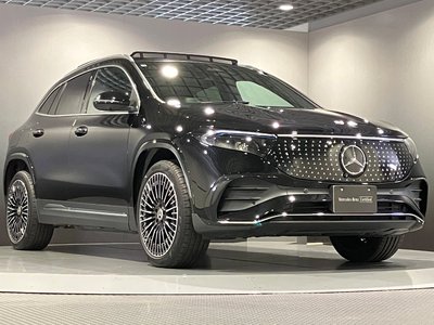 2025 Mercedes-BENZ EQA 缩略图 15