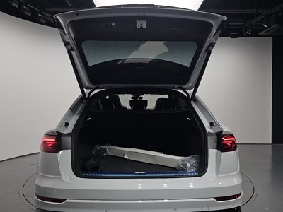 2025 AUDI Q8 thumbnail 30