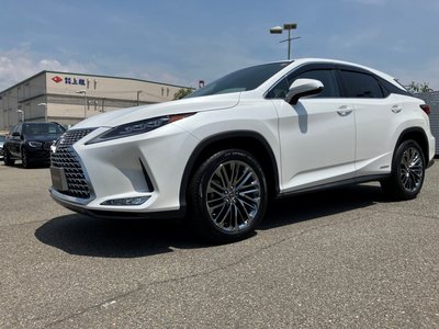2022 Lexus RX — фото 1