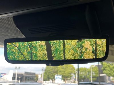2025 TOYOTA ALPHARD 缩略图 27