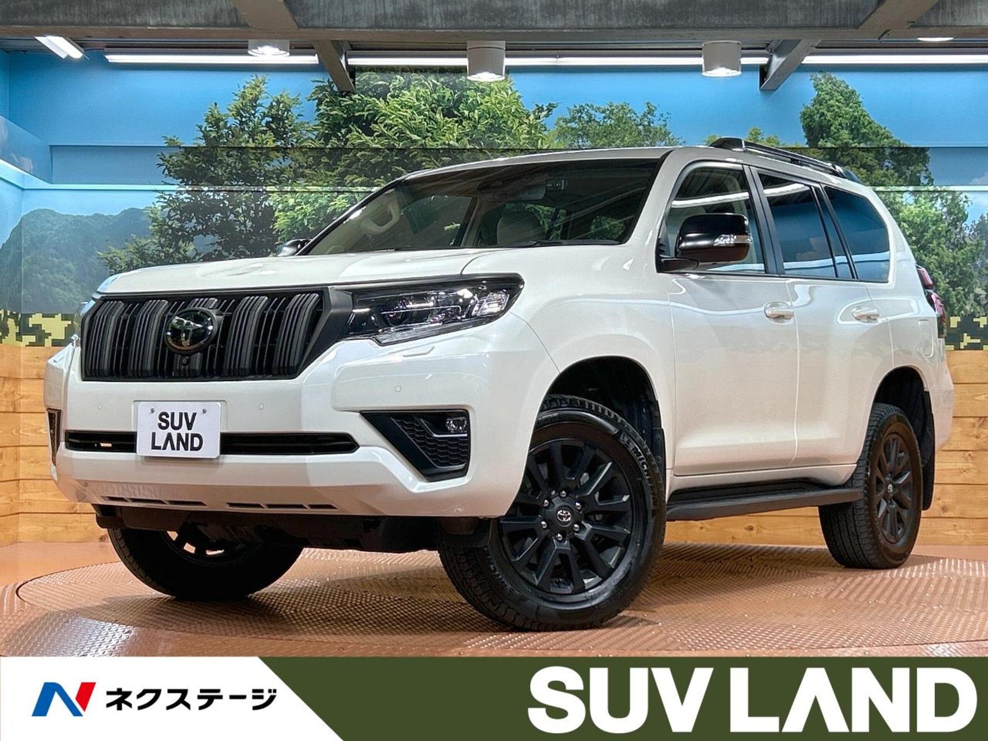 TOYOTA LAND CRUISER PRADO - View 1