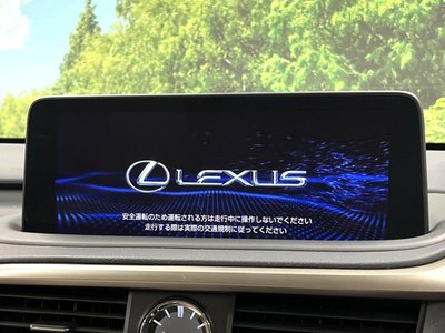 LEXUS RX - 6
